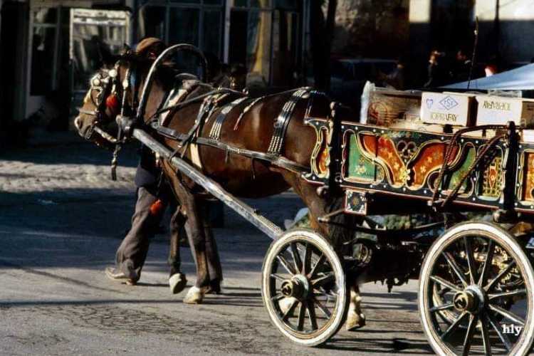 Horse drawing a traditional talika in Turkey, decorated with colorful painted motifs