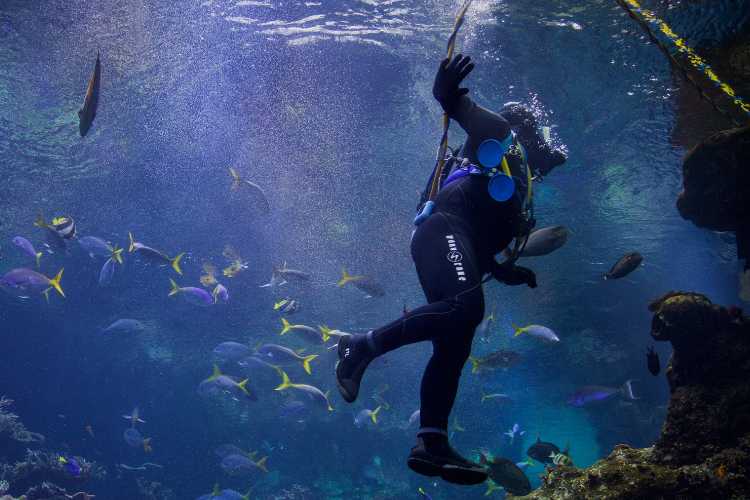 Scubadiver in deep waters of Ibrice in Saros bay