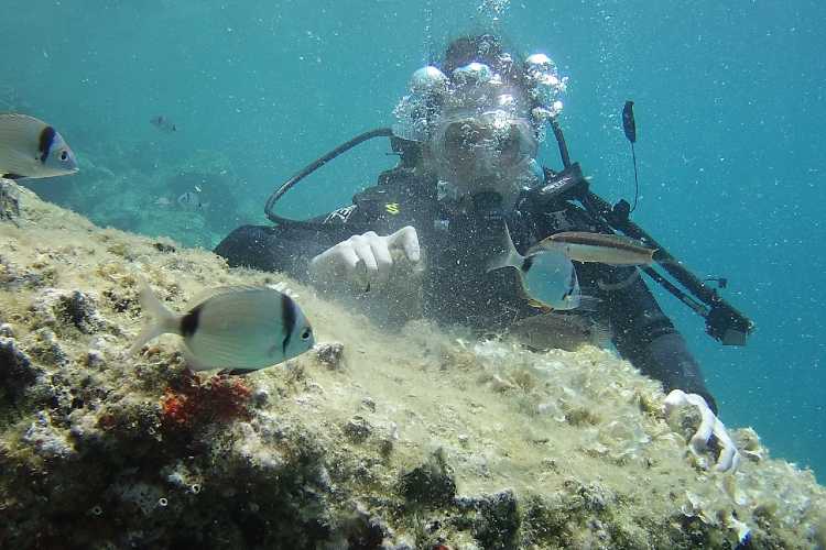 Scuba diver underwater in Saros Bay exploring marine life and observing sea creatures in the clear North Aegean waters