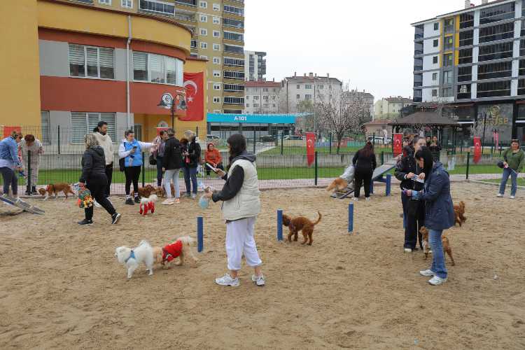 EDIRNE PATI PARK FOR ANIMALS 1