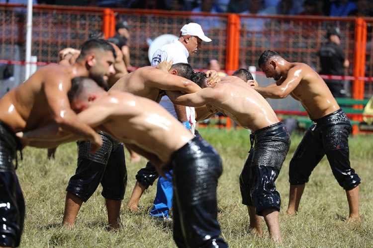 Many oil wrestlers starting a match on a grass field at the Kırkpınar festival