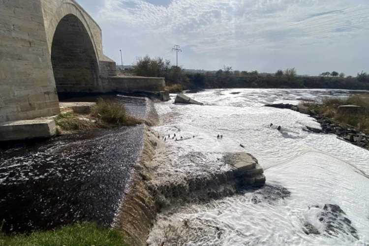 ERGENE NEHRİ KİRLİLİK(1)