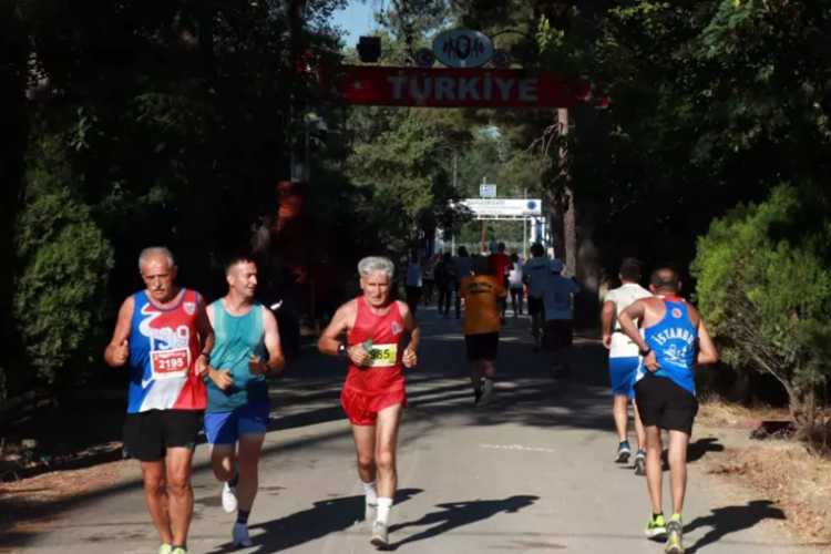 Runners on a tree-lined path during the 10th International Edirne Marathon