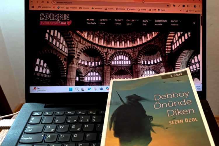 DEBBOY ÖNÜNDE DİKEN 1