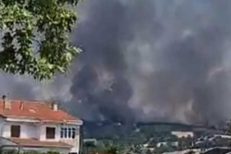 KEŞAN ORMAN YANGINI 2