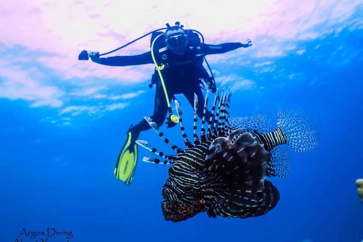 Scuba diver underwater at İbrice in the Saros Gulf near Mecidiye, exploring clear coastal waters.