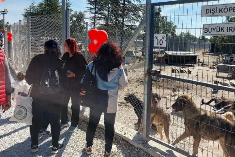 Guests at the opening ceremony of Süloğlu Animal Shelter